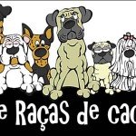 Guia de Raças de Cachorro