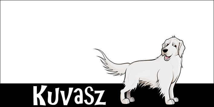 Kuvasz