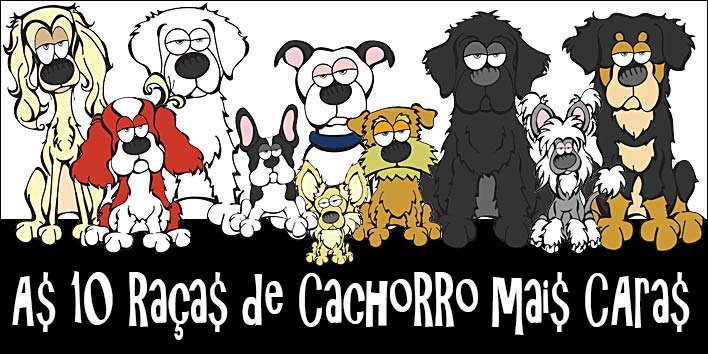 As raças de cachorro mais caras do mundo