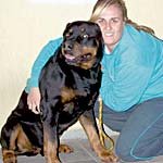 Rottweiler Apache salva sua dona