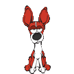 Basenji