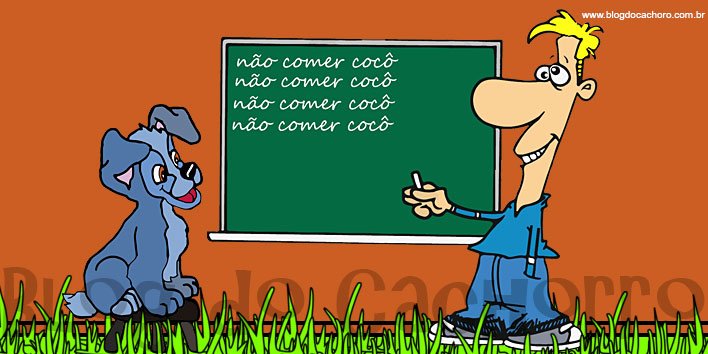 Coprofagia – Seu cachorro come cocô? Saiba como evitar!