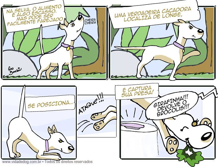 Fernando Barbin - Vida de Dog - Um dia de Caçador!