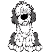 Old English Sheepdog